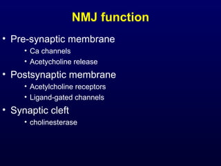 NMJ function
• Pre-synaptic membrane
• Ca channels
• Acetycholine release
• Postsynaptic membrane
• Acetylcholine receptors
• Ligand-gated channels
• Synaptic cleft
• cholinesterase
 