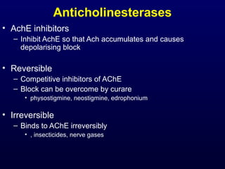 Anticholinesterases
• AchE inhibitors
– Inhibit AchE so that Ach accumulates and causes
depolarising block
• Reversible
– Competitive inhibitors of AChE
– Block can be overcome by curare
• physostigmine, neostigmine, edrophonium
• Irreversible
– Binds to AChE irreversibly
• , insecticides, nerve gases
 