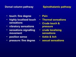 Dorsal column pathway Spinothalamic pathway
• touch: fine degree
• highly localised touch
sensations
• vibratory sensations
• sensations signalling
movement
• position sense
• pressure: fine degree
• Pain
• Thermal sensations
• Crude touch &
pressure
• crude localising
sensations
• tickle & itch
• sexual sensations
 