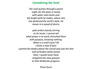 Considering the Snail
          The snail pushes through a green
             night, for the grass is heavy
             with water and meets over
        the bright path he makes, where rain
          has darkened the earth’s dark. He
             moves in a wood of desire,

               pale antlers barely stirring
                as he hunts. I cannot tell
        what power is at work, drenched there
           with purpose, knowing nothing.
                What is a snail’s fury? All
                   I think is that if later
I parted the blades above the tunnel and saw the thin
              trail of broken white across
                litter, I would never have
               imagined the slow passion
              to that deliberate progress.

                    Thom Gunn
 