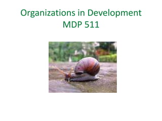 Organizations in Development
          MDP 511
 