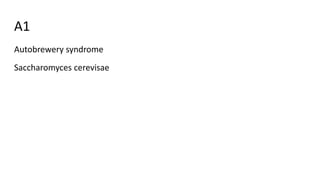 A1
Autobrewery syndrome
Saccharomyces cerevisae
 