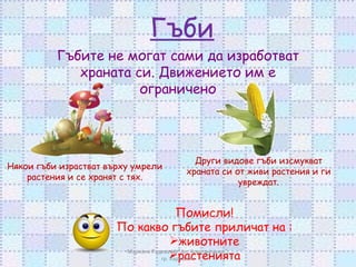 Гъби Гъбите не могат сами да изработват храната си. Движението им е ограничено Някои гъби израстват върху умрели растения и се хранят с тях. Други видове гъби изсмукват храната си от живи растения и ги увреждат. Мариана Радева-НУ"Ал. Константинов", гр. Харманли Помисли! По какво гъбите приличат на : животните растенията 