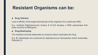 Resistant Organisms can be:
■ Drug Tolerant:
Loss of affinity of the target biomolecule of the organism for a particular AMA,
E.g. resistant Staphylococcus Aureus & E-Coli develop a RNA polymerase that
does not bind to Rifampicin.
■ Drug Destroying:
The resistant microbe elaborates an enzyme which inactivates the drug
E.g. B- lactamases are produced by staphylococcus Hymophylus which inactivates
Penicillin G.
 
