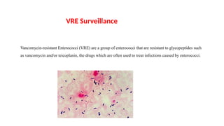 Vre Examples Surveillance and Control of Multidrug-Resistant Organisms (MDROs): MRSA ...