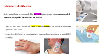 Surveillance and Control of Multidrug-Resistant Organisms (MDROs): MRSA ...