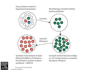 Figure 3
Source: The Lancet 2010; 375:1830-1843 (DOI:10.1016/S0140-6736(10)60410-2)
Terms and Conditions
 