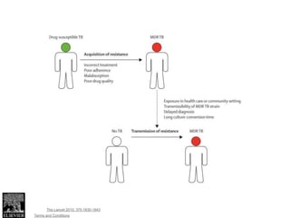 Figure 4
Source: The Lancet 2010; 375:1830-1843 (DOI:10.1016/S0140-6736(10)60410-2)
Terms and Conditions
 