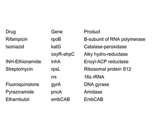EmbCAB
embCAB
Ethambutol
Amidase
pncA
Pyrazinamide
DNA gyrase
gyrA
Fluoroquinolone
16s rRNA
rrs
Ribosomal protein S12
rpsL
Streptomycin
Enoyl-ACP reductase
inhA
INH-Ethionamide
Alky hydro-reductase
oxyR-ahpC
Catalase-peroxidase
katG
Isoniazid
B-subunit of RNA polymerase
rpoB
Rifampicin
Product
Gene
Drug
EmbCAB
embCAB
Ethambutol
Amidase
pncA
Pyrazinamide
DNA gyrase
gyrA
Fluoroquinolone
16s rRNA
rrs
Ribosomal protein S12
rpsL
Streptomycin
Enoyl-ACP reductase
inhA
INH-Ethionamide
Alky hydro-reductase
oxyR-ahpC
Catalase-peroxidase
katG
Isoniazid
B-subunit of RNA polymerase
rpoB
Rifampicin
Product
Gene
Drug
EmbCAB
embCAB
Ethambutol
Amidase
pncA
Pyrazinamide
DNA gyrase
gyrA
Fluoroquinolone
16s rRNA
rrs
Ribosomal protein S12
rpsL
Streptomycin
Enoyl-ACP reductase
inhA
INH-Ethionamide
Alky hydro-reductase
oxyR-ahpC
Catalase-peroxidase
katG
Isoniazid
B-subunit of RNA polymerase
rpoB
Rifampicin
Product
Gene
Drug
EmbCAB
embCAB
Ethambutol
Amidase
pncA
Pyrazinamide
DNA gyrase
gyrA
Fluoroquinolone
16s rRNA
rrs
Ribosomal protein S12
rpsL
Streptomycin
Enoyl-ACP reductase
inhA
INH-Ethionamide
Alky hydro-reductase
oxyR-ahpC
Catalase-peroxidase
katG
Isoniazid
B-subunit of RNA polymerase
rpoB
Rifampicin
Product
Gene
Drug
EmbCAB
embCAB
Ethambutol
Amidase
pncA
Pyrazinamide
DNA gyrase
gyrA
Fluoroquinolone
16s rRNA
rrs
Ribosomal protein S12
rpsL
Streptomycin
Enoyl-ACP reductase
inhA
INH-Ethionamide
Alky hydro-reductase
oxyR-ahpC
Catalase-peroxidase
katG
Isoniazid
B-subunit of RNA polymerase
rpoB
Rifampicin
Product
Gene
Drug
EmbCAB
embCAB
Ethambutol
Amidase
pncA
Pyrazinamide
DNA gyrase
gyrA
Fluoroquinolone
16s rRNA
rrs
Ribosomal protein S12
rpsL
Streptomycin
Enoyl-ACP reductase
inhA
INH-Ethionamide
Alky hydro-reductase
oxyR-ahpC
Catalase-peroxidase
katG
Isoniazid
B-subunit of RNA polymerase
rpoB
Rifampicin
Product
Gene
Drug
 