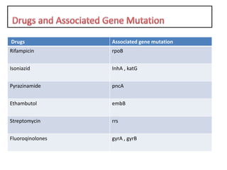 Drugs Associated gene mutation
Rifampicin rpoB
Isoniazid InhA , katG
Pyrazinamide pncA
Ethambutol embB
Streptomycin rrs
Fluoroqinolones gyrA , gyrB
 
