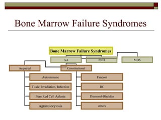 Bone Marrow Failure Syndromes Bone Marrow Failure Syndromes   AA PNH MDS Acquired Constitutional Autoimmune Fanconi DC Diamond-Blackfan others Toxic, Irradiation, Infection Pure Red Cell Aplasia Agranulocytosis 