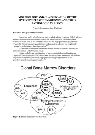 MORPHOLOGY AND CLASSIFICATION OF THE
       MYELODYSPLASTIC SYNDROMES AND THEIR
              PATHOLOGIC VARIANTS
                         Peter A. Kouides and John M. Bennett

Historical Background/Introduction

        Despite the suffix -dysplastic, the term myelodysplastic syndrome (MDS) refers to
a clonal disorder of the hematopoietic stem cell interrelated with other clonal bone
marrow disorders such as the acute leukemias and the myeloproliferative syndromes
(Figure 1). The various subtypes of the myelodysplastic syndromes can be clinically
‘lumped’ together as they have in common(64):
        (i.) the clinical manifestation of bone marrow failure as well as a tendency to
transform into an acute leukemic phase
        (ii.) the pathological manifestation of morphological abnormalities (termed
‘‘dysplasia”) of the peripheral blood and bone marrow cells such as ringed sideroblasts,
megaloblastic erythroid precursors, hypogranulation/hyposegmentation of the
granulocytes and micromegakaryocytes.(62)




Figure 1: Clonal bone marrow disorders.
 