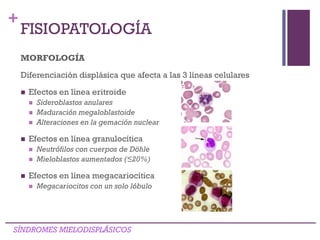+
MORFOLOGÍA
Diferenciación displásica que afecta a las 3 líneas celulares
 Efectos en línea eritroide
 Sideroblastos anulares
 Maduración megaloblastoide
 Alteraciones en la gemación nuclear
 Efectos en línea granulocítica
 Neutrófilos con cuerpos de Döhle
 Mieloblastos aumentados (≤20%)
 Efectos en línea megacariocítica
 Megacariocitos con un solo lóbulo
SÍNDROMES MIELODISPLÁSICOS
FISIOPATOLOGÍA
 
