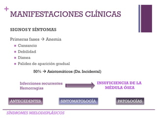 +
SIGNOSY SÍNTOMAS
Primeras fases  Anemia
 Cansancio
 Debilidad
 Disnea
 Palidez de aparición gradual
SÍNDROMES MIELODISPLÁSICOS
MANIFESTACIONES CLÍNICAS
50%  Asintomáticos (Dx. Incidental)
Infecciones recurrentes
Hemorragias
INSUFICIENCIA DE LA
MÉDULA ÓSEA
ANTECEDENTES SINTOMATOLOGÍA PATOLOGÍAS
 
