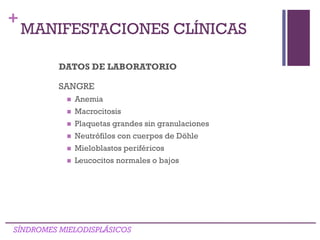 +
DATOS DE LABORATORIO
SANGRE
 Anemia
 Macrocitosis
 Plaquetas grandes sin granulaciones
 Neutrófilos con cuerpos de Döhle
 Mieloblastos periféricos
 Leucocitos normales o bajos
SÍNDROMES MIELODISPLÁSICOS
MANIFESTACIONES CLÍNICAS
 