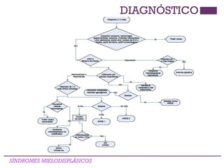 DIAGNÓSTICO
SÍNDROMES MIELODISPLÁSICOS
 