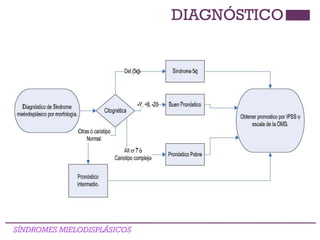 DIAGNÓSTICO
SÍNDROMES MIELODISPLÁSICOS
 
