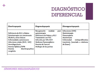 +
DIAGNÓSTICO
DIFERENCIAL
SÍNDROMES MIELODISPLÁSICOS
 