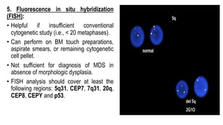 5. Fluorescence in situ hybridization
(FISH):
• Helpful if insufficient conventional
cytogenetic study (i.e., < 20 metaphases).
• Can perform on BM touch preparations,
aspirate smears, or remaining cytogenetic
cell pellet.
• Not sufficient for diagnosis of MDS in
absence of morphologic dysplasia.
• FISH analysis should cover at least the
following regions: 5q31, CEP7, 7q31, 20q,
CEP8, CEPY and p53.
 