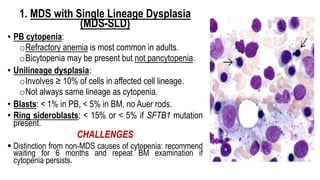 1. MDS with Single Lineage Dysplasia
(MDS-SLD)
• PB cytopenia:
oRefractory anemia is most common in adults.
oBicytopenia may be present but not pancytopenia.
• Unilineage dysplasia:
oInvolves ≥ 10% of cells in affected cell lineage.
oNot always same lineage as cytopenia.
• Blasts: < 1% in PB, < 5% in BM, no Auer rods.
• Ring sideroblasts: < 15% or < 5% if SFTB1 mutation
present.
CHALLENGES
§ Distinction from non-MDS causes of cytopenia: recommend
waiting for 6 months and repeat BM examination if
cytopenia persists.
 