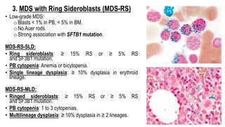 3. MDS with Ring Sideroblasts (MDS-RS)
• Low-grade MDS:
o Blasts < 1% in PB, < 5% in BM.
o No Auer rods.
o Strong association with SFTB1 mutation.
MDS-RS-SLD:
• Ring sideroblasts: ≥ 15% RS or ≥ 5% RS
and SF3B1 mutation.
• PB cytopenia: Anemia or bicytopenia.
• Single lineage dysplasia: ≥ 10% dysplasia in erythroid
lineage.
MDS-RS-MLD:
• Ringed sideroblasts: ≥ 15% RS or ≥ 5% RS
and SF3B1 mutation.
• PB cytopenia: 1 to 3 cytopenias.
• Multilineage dysplasia: ≥ 10% dysplasia in ≥ 2 lineages.
 