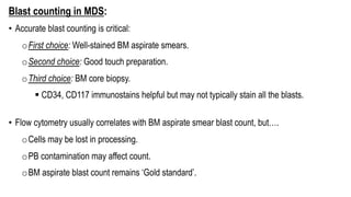 Blast counting in MDS:
• Accurate blast counting is critical:
oFirst choice: Well-stained BM aspirate smears.
oSecond choice: Good touch preparation.
oThird choice: BM core biopsy.
§ CD34, CD117 immunostains helpful but may not typically stain all the blasts.
• Flow cytometry usually correlates with BM aspirate smear blast count, but….
oCells may be lost in processing.
oPB contamination may affect count.
oBM aspirate blast count remains ‘Gold standard’.
 