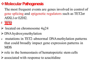 Molecular Pathogenesis
The most frequent events are genes involved in control of
gene splicing and epigenetic regulators such as TET2or
ASXL1or EZH2.
• TET2
 located on chromosome 4q24
 DNAhydroxymethylation
 mutations in TET2-abnormal DNAmethylation patterns
that could broadly impact gene expression patterns in
MDS
 role in the homeostasis of hematopoietic stem cells
 associated with response to azacitidine
 