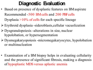 Diagnostic Evaluation
• Based on presence of dysplastic features on BMaspirate
Recommended -500 BMcells and 200 PBFcells
Dysplasia >10% of cells for each specific lineage
 Erythroid dysplasia -sideroblasts,cellular vacuolization
 Dysgranulopoiesis -alterations in size, nuclear
hypolobation, or hypersegmentation
 Dysmegakaryopoiesis -micromegakaryocytes, hypolobation
or multinucleation
• Examination of a BM biopsy helps in evaluating cellularity
and the presence of significant fibrosis, making a diagnosis
of hypoplastic MDS versus aplastic anemia
 