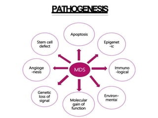 PATHOGENESIS
 