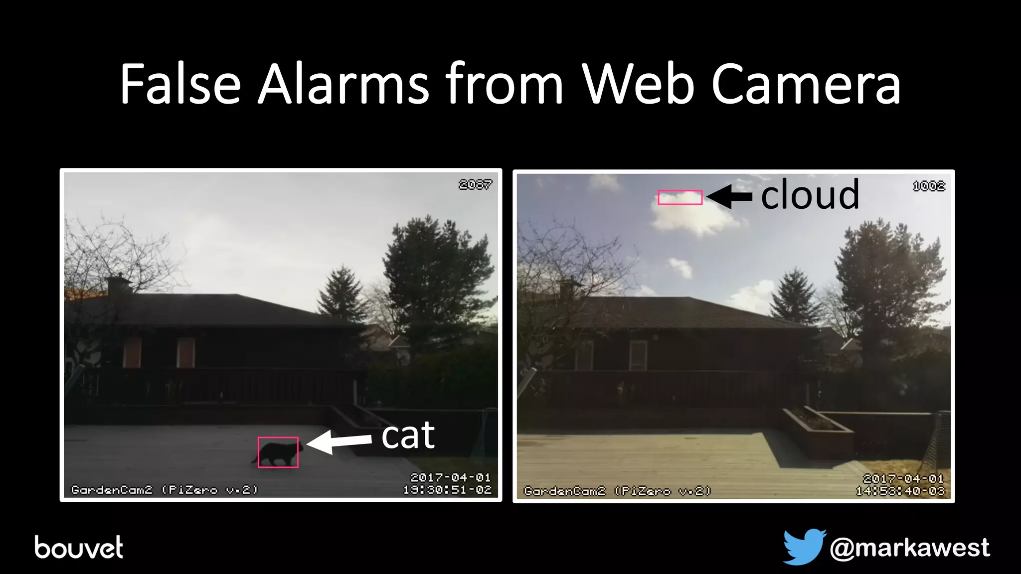 False Alarms from Web Camera
cat
cloud
@markawest
 