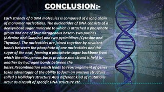 CONCLUSION:-
Each strands of a DNA molecules is composed of a long chain
of monomer nucleotides. The nucleotides of DNA consists of a
deoxyribose sugar molecule to which is attached a phosphate
group and one of four nitrogenous bases:- two purines
(Adenine and Guanine) and two pyrimidines (Cytosine and
Thymine). The nucleotides are joined together by covalent
bonds between the phosphate of one nucleotides and the
sugar of the next, forming a phosphate-sugar backbone from
which the nitrogenous bases produce.one strand is held to
another by hydrogen bonds between the
bases.Recombination which leads to rearrangement of genes
takes advantages of the ability to form an unusual structure
called a Holliday’s structure.Also different kind of mutations
occur as a result of specific DNA structure etc.
 