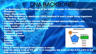 DNA BACKBONE:-
 The Backbone of DNA (The sides of the ladder is made of alternating molecules).
o Phosphate
o Sugar: Deoxyribose.
 The DNA Backbone is absolutely 100% Identical in every single living organisms
on the face of earth.
 computer, the and plants all have ‘phosphate-sugar-phosphate-sugar…etc.
 The DNA Backbone is resistance to cleavage.
 DNA is made up of millions of tiny subunits(monomers)called nucleotides.
 Each nucleotides consists of three parts
o Pentose sugar(deoxyribose)
o Phosphate group
o Nitrogenous bases
• Adenine
• Cytosine
• Guanine
• Thymine
 Here is where biological information is stored.
 Like the binary code of 0’S and 1’s in computer, the order of the A,T,C,orG’s in the
DNA stores information.
 