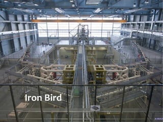 Iron Bird 
 