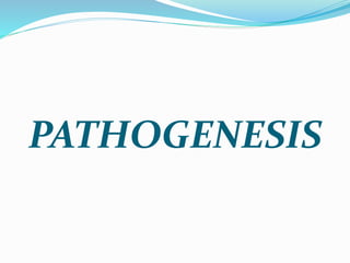 PATHOGENESIS
 