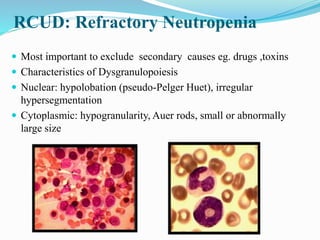 RCUD: Refractory Neutropenia
 Most important to exclude secondary causes eg. drugs ,toxins
 Characteristics of Dysgranulopoiesis
 Nuclear: hypolobation (pseudo-Pelger Huet), irregular
hypersegmentation
 Cytoplasmic: hypogranularity, Auer rods, small or abnormally
large size
 