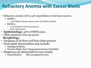 Refractory Anemia with Excess Blasts
 Refractory anemia with 5-19% myeloblasts in the bone marrow.
 RAEB-1:
 5-9% blasts in bone marrow and <5% blasts in blood.
 RAEB-2:
 10-19% blasts in the bone marrow
 Auer rods present
 Epidemiology: 40% of MDS cases.
 Older patients (over 50 years)
Morphology:
 Dysplasia of all three cell lines often present
 Neutrophil abnormalities may include:
 Hypogranulation
 Pseudo-Pelger-huet (hyposegmentation/barbells)
 Megkaryocyte abnormalities may include
 Hypolobation -Micromegakaryocytes
 