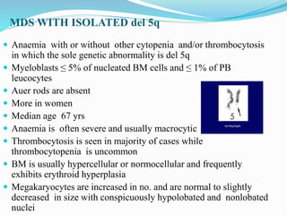 MDS WITH ISOLATED del 5q
 Anaemia with or without other cytopenia and/or thrombocytosis
in which the sole genetic abnormality is del 5q
 Myeloblasts ≤ 5% of nucleated BM cells and ≤ 1% of PB
leucocytes
 Auer rods are absent
 More in women
 Median age 67 yrs
 Anaemia is often severe and usually macrocytic
 Thrombocytosis is seen in majority of cases while
thrombocytopenia is uncommon
 BM is usually hypercellular or normocellular and frequently
exhibits erythroid hyperplasia
 Megakaryocytes are increased in no. and are normal to slightly
decreased in size with conspicuously hypolobated and nonlobated
nuclei
 