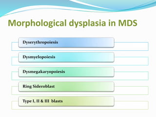 Morphological dysplasia in MDS
Dyserythropoiesis
Dysmyelopoiesis
Dysmegakaryopoiesis
Ring Sideroblast
Type I, II & III blasts
 
