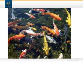 Confidential   3/22/11