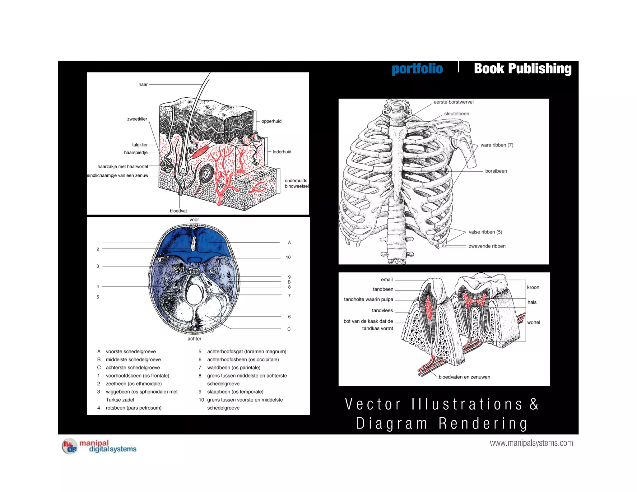 portfolio   Book Publishing




Vector Illustrations &
 Diagram Rendering
                   www.manipalsystems.com
 