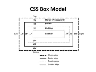 CSS Box Model