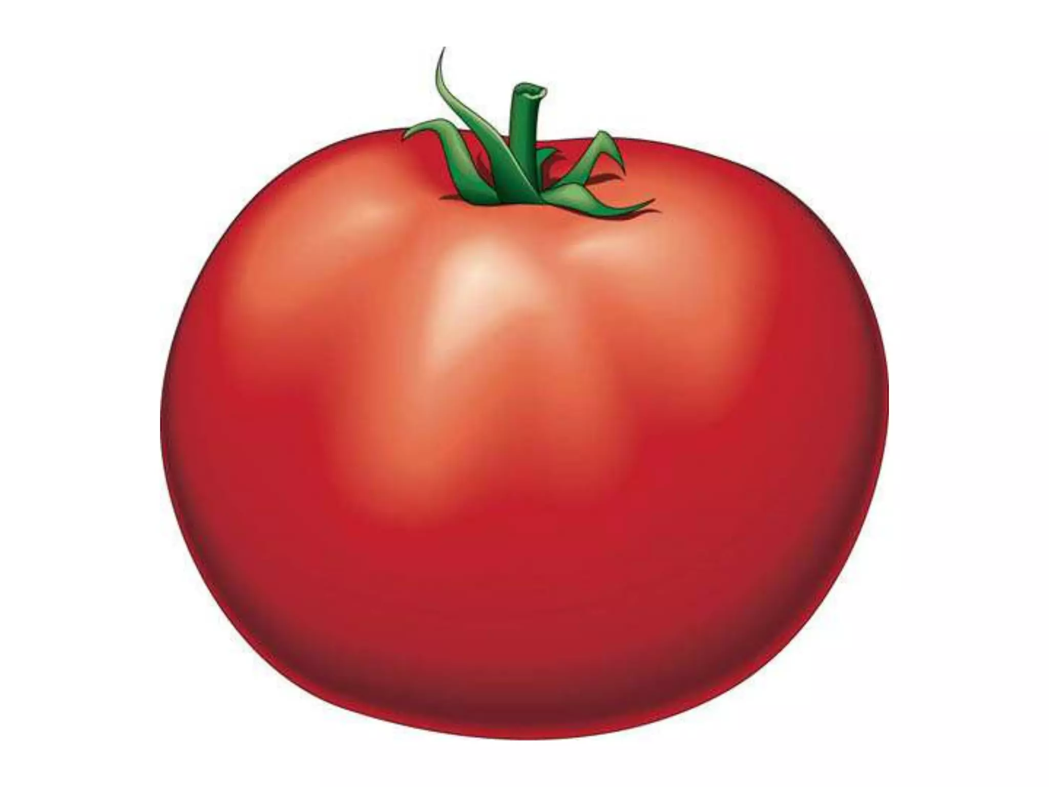 [Tomato]
 