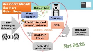 der innere Mensch
das Herz
Geist - Seele
Intellekt, Verstand
Vernunft, «Nieren»
Gewissen
Wille
Emotionen
Affekte
Werte
Tugenden
Gedächtnis
(Wissen & Erfahrung)
Handlung
(reden, tun oder
unterlassen)
Input
Sinnesorgane
Wahrnehmung
Heiliger Geist
Mt 15,19!
 