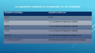 SEGMENTO VERTEBRAL SEGMENTO MEDULAR
C1,C3 C1,C3
C4,C7 +1 y se obtiene el segmento medular
T1,T6 +2 y se obtiene el segmento medular
T7,T9 +3 y se obtiene el segmento medular
T10-T12 les corresponde segmento medular L1,L5
L1 y borde superior L2 Corresponde segmento medular sacrococcigeo
Los segmentos medulares no corresponden con los vertebrales:
 