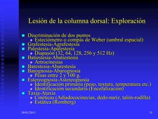 30/01/2015 31
Lesión de la columna dorsal: Exploración
 Discriminación de dos puntos
 Esteciómetro o compás de Weber (umbral espacial)
 Grafestesia-Agrafestesia
 Palestesia-Apalestesia
 Diapasón (32, 64, 128, 256 y 512 Hz)
 Batiestesia-Abatiestesia
 Artrocinesias
 Barestesia-Abarestesia
 Barognosia-Abarognosia
 Pesas entre 2 y 100 g.
 Estereognosia-Astereognosia
 Identificación primaria (peso, textura, temperatura etc.)
 Identificación secundaria (Encefalización)
 Taxia-Ataxia
 Cinéticas (Adiadococinecias, dedo-nariz, talón-rodilla)
 Estática (Romberg)
 
