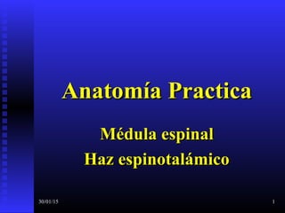 30/01/15 1
Anatomía PracticaAnatomía Practica
Médula espinalMédula espinal
Haz espinotalámicoHaz espinotalámico
 