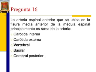 Pregunta 16
La arteria espinal anterior que se ubica en la
fisura media anterior de la médula espinal
principalmente es rama de la arteria:
a)Carótida interna
b)Carótida externa
c)Vertebral
d)Basilar
e)Cerebral posterior

 