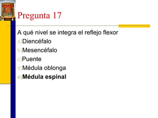 Pregunta 17
A qué nivel se integra el reflejo flexor
a)Diencéfalo
b)Mesencéfalo
c)Puente
d)Médula oblonga
e)Médula espinal

 