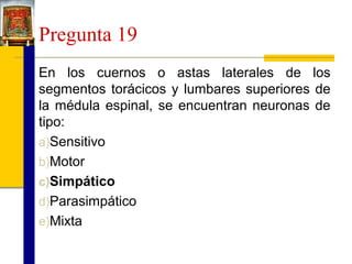 Pregunta 19
En los cuernos o astas laterales de los
segmentos torácicos y lumbares superiores de
la médula espinal, se encuentran neuronas de
tipo:
a)Sensitivo
b)Motor
c)Simpático
d)Parasimpático
e)Mixta

 