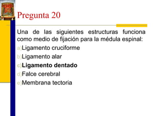 Pregunta 20
Una de las siguientes estructuras funciona
como medio de fijación para la médula espinal:
a)Ligamento cruciforme
b)Ligamento alar
c)Ligamento dentado
d)Falce cerebral
e)Membrana tectoria

 